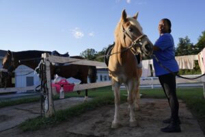 A woman cares for a horse